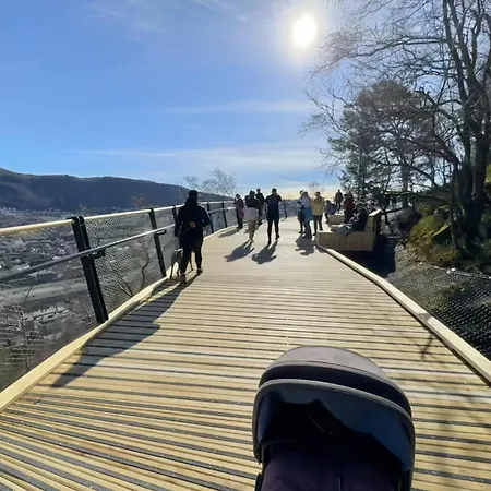 And Modern Terraced House In *