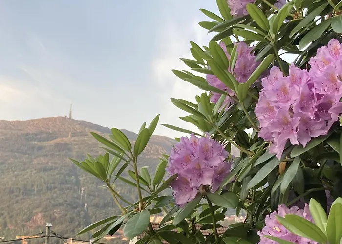 And Modern Terraced House In Bergen