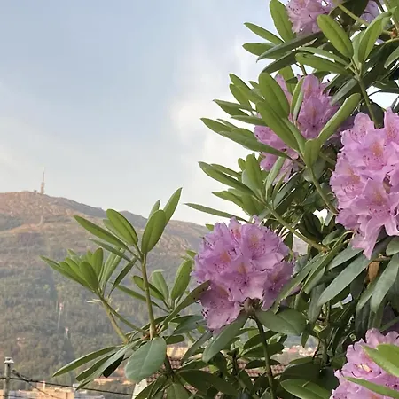 And Modern Terraced House In 卑爾根