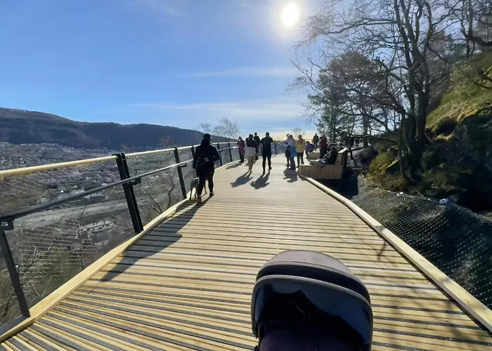 And Modern Terraced House In *